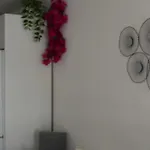 Lava Nomad Appartement Puerto del Carmen (Lanzarote)