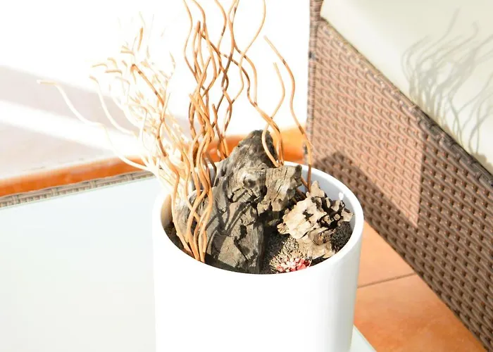 Lava Nomad プエルト・デル・カルメン