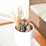 Lava Nomad Puerto del Carmen (Lanzarote)