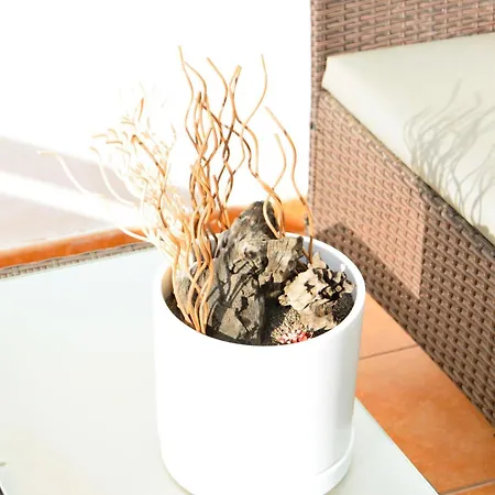 Lava Nomad Puerto del Carmen (Lanzarote)