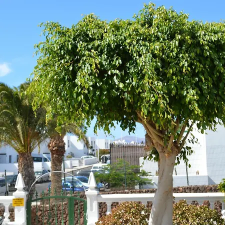 Daire Lava Nomad Puerto del Carmen (Lanzarote)