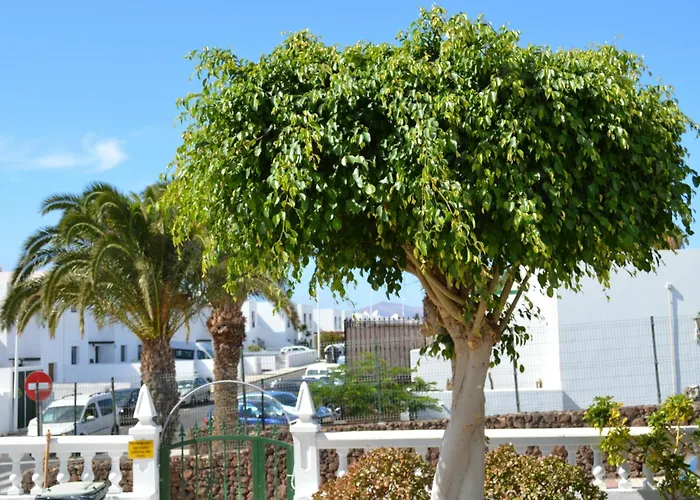 Appartement Lava Nomad Puerto del Carmen (Lanzarote)